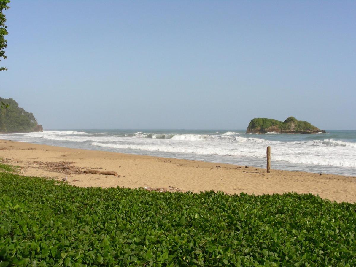 Hotel Casa Conley Del Mar Puerto Viejo de Talamanca Esterno foto